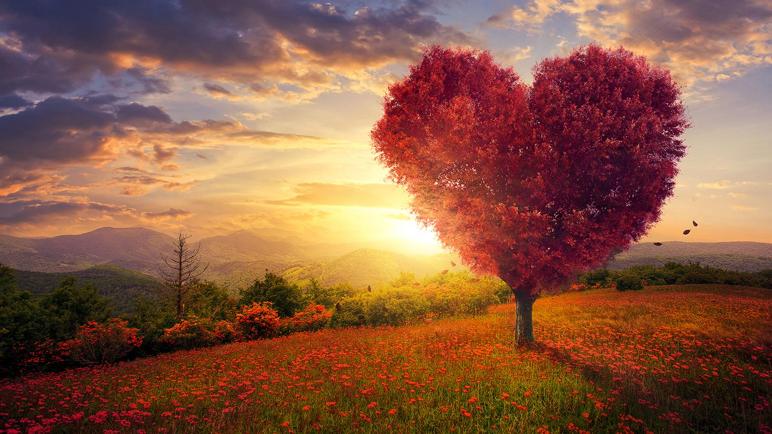 The Importance of Living by God’s Grace
